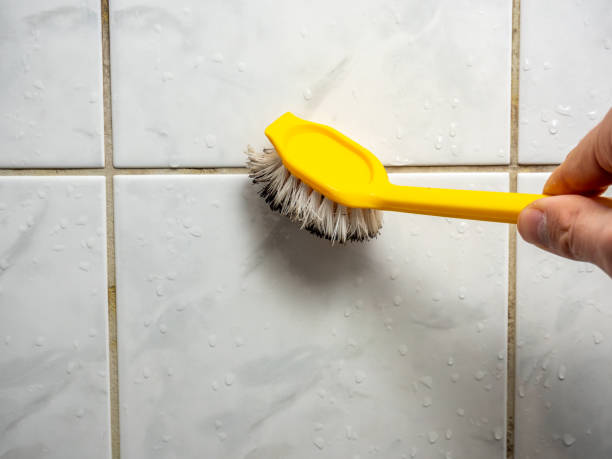 Best Professional Mold Removal  in Hyde Rk, PA