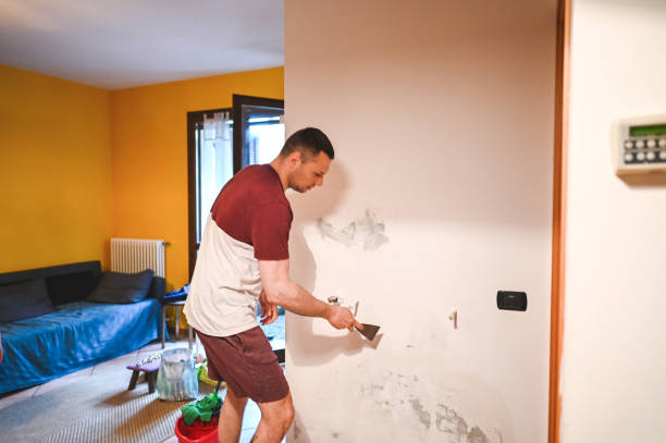 Best Office Mold Removal Services  in Hyde Rk, PA